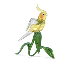 Cacatúa Idyllia