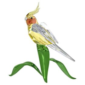 Cacatúa Idyllia