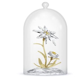 Campana de cristal del 130.º aniversario de Florere