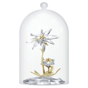 Campana de cristal del 130.º aniversario de Florere