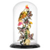 Campana de cristal «Idyllia: Aves y mariposas» Campana de cristal «Idyllia: Aves y mariposas»
