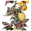Campana de cristal «Idyllia: Aves y mariposas» Campana de cristal «Idyllia: Aves y mariposas»