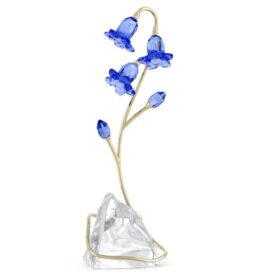 Campanilla azul de Florere