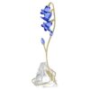 Campanilla azul de Florere Campanilla azul de Florere