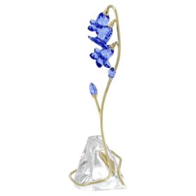 Campanilla azul de Florere