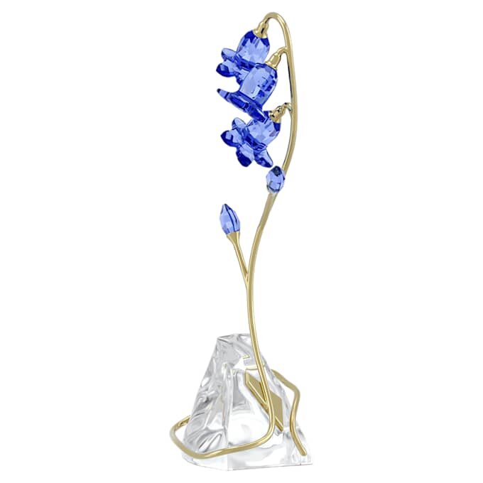 Campanilla azul de Florere Campanilla azul de Florere