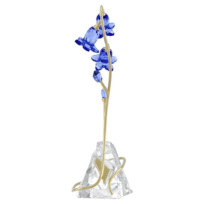 Campanilla azul de Florere Campanilla azul de Florere