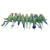 Cristal «Myriad Gouldian Finches» Cristal «Myriad Gouldian Finches»