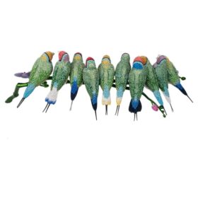 Cristal «Myriad Gouldian Finches»