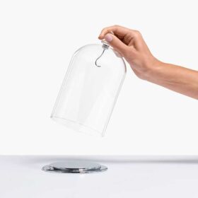 Expositor con campana de cristal grande
