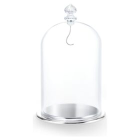 Expositor con campana de cristal grande