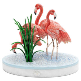 Flamencos de cristal Myriad