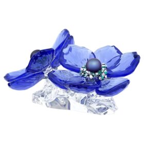 Flor de anémona coronaria de Idyllia SCS