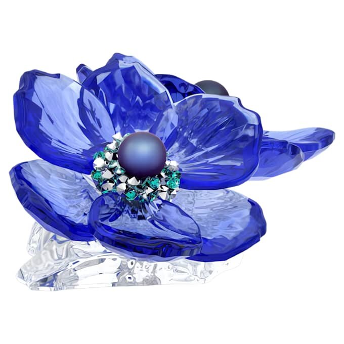 Flor de anémona coronaria de Idyllia SCS Flor de anémona coronaria de Idyllia SCS