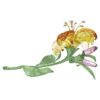 Florere Lily Grande Florere Lily Grande