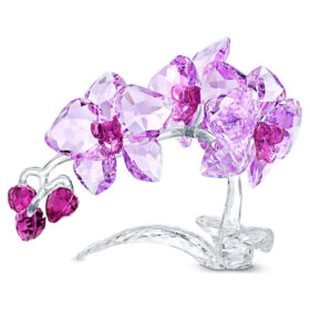 Flores de cristal: Orquídea Flores de cristal: Orquídea