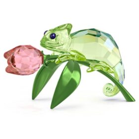 Idyllia: Camaleón y tulipán