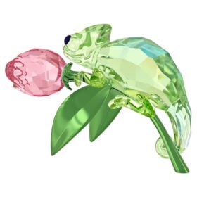 Idyllia: Camaleón y tulipán