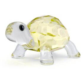 Idyllia, la tortuga bebé