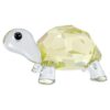 Idyllia, la tortuga bebé