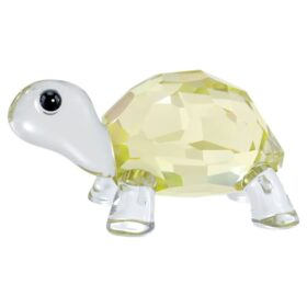 Idyllia, la tortuga bebé
