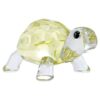 Idyllia, la tortuga bebé