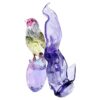 Idyllia: pinzón de Gould y orquídea