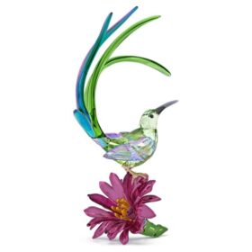 Idyllia: pájaro azucarero y flor de cactus