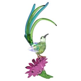 Idyllia: pájaro azucarero y flor de cactus