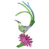 Idyllia: pájaro azucarero y flor de cactus Idyllia: pájaro azucarero y flor de cactus