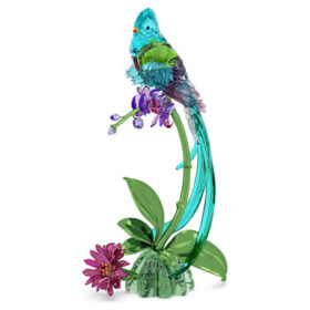 Idyllia Quetzal y Orquídea