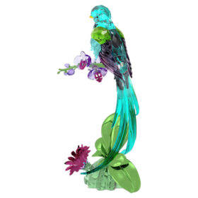 Idyllia Quetzal y Orquídea