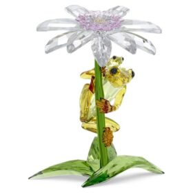 Idyllia: Ranas y flores