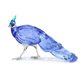 Idyllia SCS Palawan: pavo real-faisán