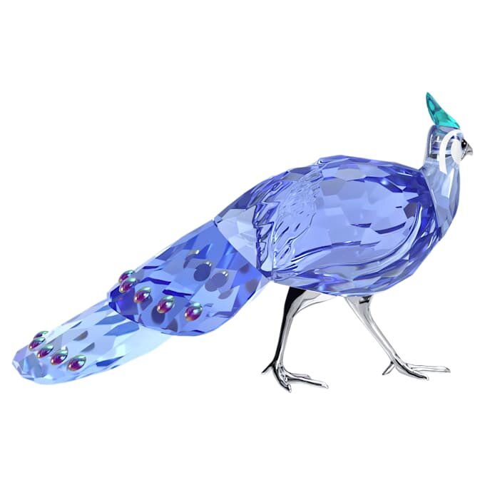 Idyllia SCS Palawan: pavo real-faisán Idyllia SCS Palawan: pavo real-faisán