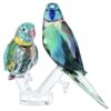 Jungle Beats: Pareja de periquitos Fife & Fifer Jungle Beats: Pareja de periquitos Fife & Fifer
