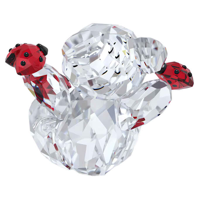 Kris Bear, el oso de la buena suerte Kris Bear, el oso de la buena suerte