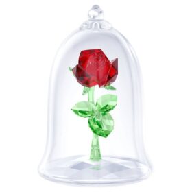 La rosa encantada