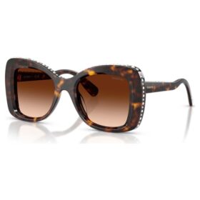Lentes de sol con forma de mariposa, Sk6062U, marrón Lentes de sol con forma de mariposa, Sk6062U, marrón