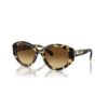 Lentes de sol con forma de ojo de gato, Sk6008, marrón Lentes de sol con forma de ojo de gato, Sk6008, marrón