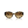 Lentes de sol con forma de ojo de gato, Sk6008, marrón Lentes de sol con forma de ojo de gato, Sk6008, marrón