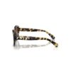 Lentes de sol con forma de ojo de gato, Sk6008, marrón Lentes de sol con forma de ojo de gato, Sk6008, marrón