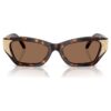 Lentes de sol con forma de ojo de gato, Sk6029, marrón Lentes de sol con forma de ojo de gato, Sk6029, marrón