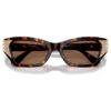 Lentes de sol con forma de ojo de gato, Sk6029, marrón Lentes de sol con forma de ojo de gato, Sk6029, marrón