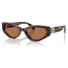 Lentes de sol con forma de ojo de gato, Sk6045, marrón Lentes de sol con forma de ojo de gato, Sk6045, marrón