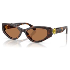 Lentes de sol con forma de ojo de gato, Sk6045, marrón
