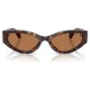 Lentes de sol con forma de ojo de gato, Sk6045, marrón Lentes de sol con forma de ojo de gato, Sk6045, marrón