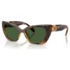 Lentes de sol con forma de ojo de gato, Sk6047, marrón claro Lentes de sol con forma de ojo de gato, Sk6047, marrón claro