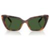 Lentes de sol con forma de ojo de gato, Sk6047, marrón claro Lentes de sol con forma de ojo de gato, Sk6047, marrón claro