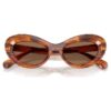 Lentes de sol con forma de ojo de gato, Sk6061U, marrón Lentes de sol con forma de ojo de gato, Sk6061U, marrón